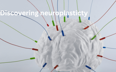 How and When Was Neuroplasticity Discovered?